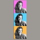  Pop Color 17 Tableau portrait de 3 photos maxi 